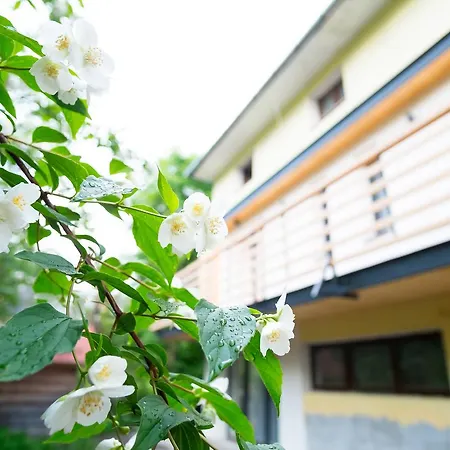 Butikowe Apartment *